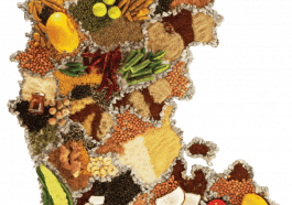 ಕರ್ನಾಟಕದ ಪ್ರಮುಖ ಬೆಳೆಗಳು