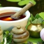 ಹಿತ್ತಲ ಗಿಡಗಳ ಔಷಧಿ ಗುಣಗಳು 24 ಹಿತ್ತಲ ಗಿಡಗಳ ಔಷಧಿ ಗುಣಗಳು