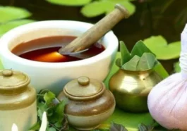 ಹಿತ್ತಲ ಗಿಡಗಳ ಔಷಧಿ ಗುಣಗಳು