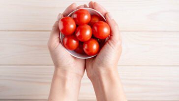 ಟೊಮೇಟೊ/ಗೂರೆ ಹಣ್ಣು