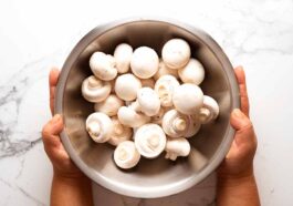 ಅಣಬೆ (ಮಶ್ರೂಮ್) ಮಾಂಸಾಹಾರ ಅಥವಾ ಸಸ್ಯಾಹಾರ ಯಾವುದಕ್ಕೆ ಸೇರಿರುವುದು?