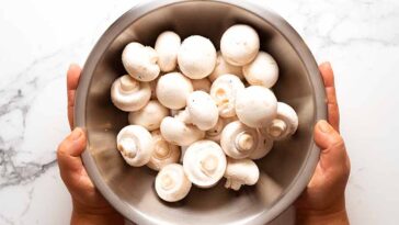 ಅಣಬೆ (ಮಶ್ರೂಮ್) ಮಾಂಸಾಹಾರ ಅಥವಾ ಸಸ್ಯಾಹಾರ ಯಾವುದಕ್ಕೆ ಸೇರಿರುವುದು?