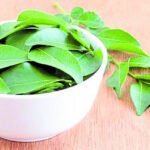 ಕರಿಬೇವು ಸೊಪ್ಪಿನ ಮಹತ್ವ ತಿಳಿಯಿರಿ 26 ಕರಿಬೇವು