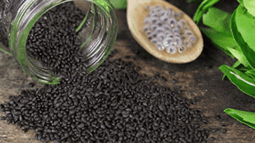 ಕಾಮಕಸ್ತೂರಿ