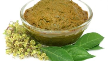 ಮದರಂಗಿ ಸೊಪ್ಪಿನಲ್ಲಿ ಇದೆ ಹಲವಾರು ಬಗೆಯ ಉಪಯೋಗಗಳು