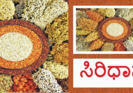 ನಿಮ್ಮ ದೈನಂದಿನ ಆಹಾರದಲ್ಲಿ ಸಿರಿಧಾನ್ಯವನ್ನು ಸೇವಿಸೋದ್ರಿಂದ ಸಿಗುತ್ತೆ ಇಷ್ಟೆಲ್ಲಾ ಲಾಭ