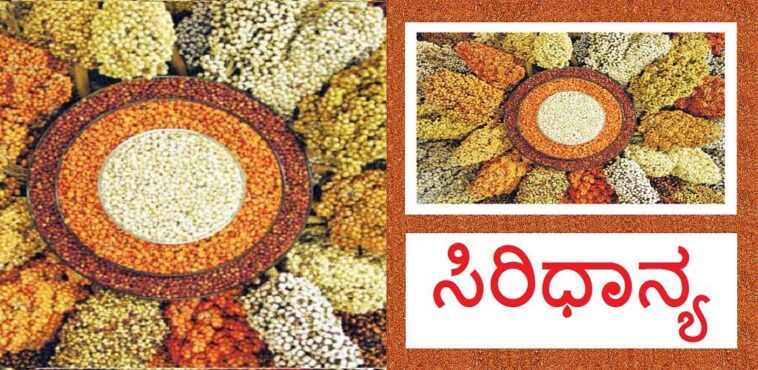 ನಿಮ್ಮ ದೈನಂದಿನ ಆಹಾರದಲ್ಲಿ ಸಿರಿಧಾನ್ಯವನ್ನು ಸೇವಿಸೋದ್ರಿಂದ ಸಿಗುತ್ತೆ ಇಷ್ಟೆಲ್ಲಾ ಲಾಭ