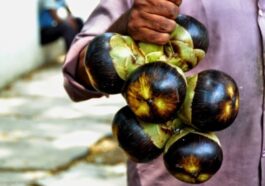 ತಾಳೆ ಮರದ ಹಣ್ಣು