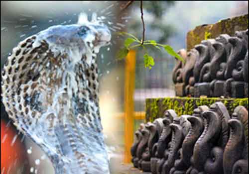 ನಾಗಾರಾಧನೆ ಕ್ರಮ