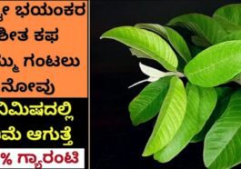 ನೆಗಡಿ ಶೀತ ಕೆಮ್ಮು ಕಫ 2 ನಿಮಿಷದಲ್ಲಿ ಮುಕ್ತಿ
