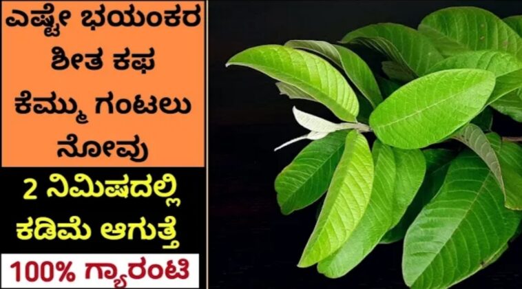 ನೆಗಡಿ ಶೀತ ಕೆಮ್ಮು ಕಫ 2 ನಿಮಿಷದಲ್ಲಿ ಮುಕ್ತಿ
