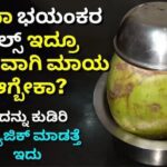 ಎಳನೀರು ಹೀಗೆ ಮಾಡಿ ಕುಡಿದರೆ ಎಂತ ಭಯಂಕರ ಪೈಲ್ಸ್ ಇದ್ದರೂ ಮಾಯ 24 ಎಳನೀರು ಹೀಗೆ ಮಾಡಿ ಕುಡಿದರೆ ಎಂತ ಭಯಂಕರ ಪೈಲ್ಸ್ ಇದ್ದರೂ ಮಾಯ