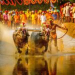 ಕರಾವಳಿ ಕಂಬಳ 26 ಕರಾವಳಿ ಕಂಬಳ