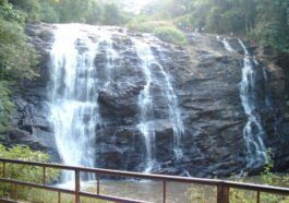 ಅಬ್ಬೀ ಜಲಪಾತ