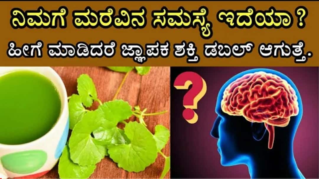 ಜಾಸ್ತಿ ಮರೆವು ಇದೆಯಾ ಇಲ್ಲಿದೆ ಪರಿಹಾರ ಹೀಗೆ ಮಾಡಿ