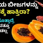 ಈ ಸತ್ಯ ಗೊತ್ತಾದ್ರೆ ಪಪ್ಪಾಯ ಬೀಜಗಳನ್ನು ಯಾವತ್ತು ಬಿಸಾಡ ಲ್ಲ.