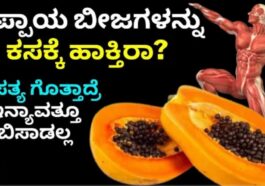 ಈ ಸತ್ಯ ಗೊತ್ತಾದ್ರೆ ಪಪ್ಪಾಯ ಬೀಜಗಳನ್ನು ಯಾವತ್ತು ಬಿಸಾಡ ಲ್ಲ.
