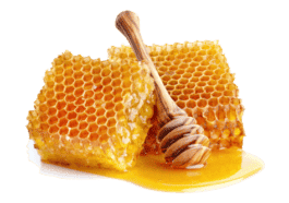 ಜೇನು ತುಪ್ಪ