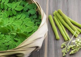 ನುಗ್ಗೆಕಾಯಿ ಮತ್ತು ನುಗ್ಗೆಸೊಪ್ಪು