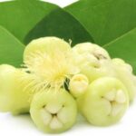 ಜಂಬು ನೇರಳೆ