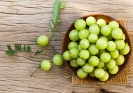 ನೆಲ್ಲಿಕಾಯಿ ಉಪಯೋಗಗಳು