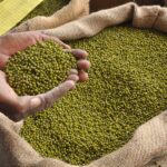 ಹೆಸರು ಕಾಳು