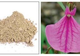 ಪುರುಷ ರತ್ನ