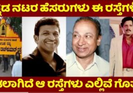 ಕನ್ನಡ ನಟರ ಹೆಸರುಗಳು ಈ ರಸ್ತೆಗಳಿಗೆ ಇಡಲಾಗಿದೆ.