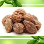 ಅಳಲೆ ಕಾಯಿ