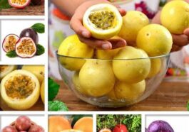 ಪ್ಯಾಶನ್ ಫ್ರೂಟ್