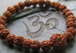 ರುದ್ರಾಕ್ಷಿ ಮಣಿ