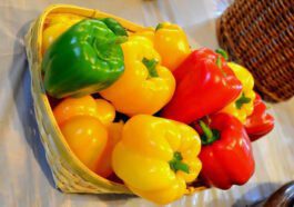 ದೊಡ್ಡ ಮೆಣಸಿನ ಕಾಯಿ