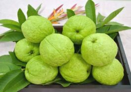 ಪೇರಳೆ ಹಣ್ಣು