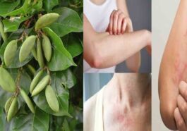 ಹೊಂಗೆ ಮರ: ಹೊಂಗೆ ಎಣ್ಣೆ ಉಪಯೋಗಗಳು