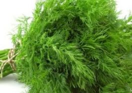 ಸಬ್ಬಸಿಗೆ ಸೊಪ್ಪು