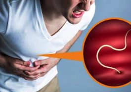 ಕೊಕ್ಕೆಹುಳು