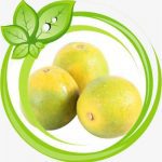 ಮೂಸಂಬಿ ಹಣ್ಣಿನ ಲಾಭಗಳು