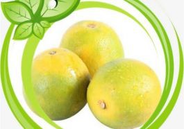 ಮೂಸಂಬಿ ಹಣ್ಣಿನ ಲಾಭಗಳು