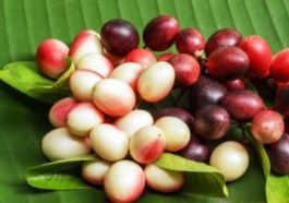 ಕರಂಡೆ ಹಣ್ಣು