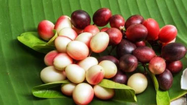 ಕರಂಡೆ ಹಣ್ಣು : ಚಿಕ್ಕ ವಯಸ್ಸಿನಲ್ಲಿ ಉಚಿತವಾಗಿ ಸಿಗುತ್ತಿದ್ದ ದ್ರಾಕ್ಷಿ 1 ಕರಂಡೆ ಹಣ್ಣು