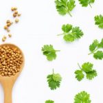 ಅಡಿಗೆ ಘಮಕ್ಕೆ ಹಾಕುವ ಕೊತ್ತಂಬರಿ ಸೊಪ್ಪು 27 ಕೊತ್ತಂಬರಿ ಸೊಪ್ಪು