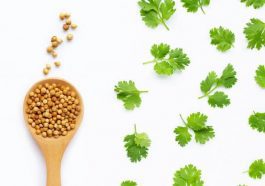 ಕೊತ್ತಂಬರಿ ಸೊಪ್ಪು