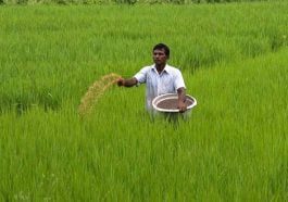 ಜೈವಿಕ ಕೀಟನಾಶಕಗಳ ಮಹತ್ವ