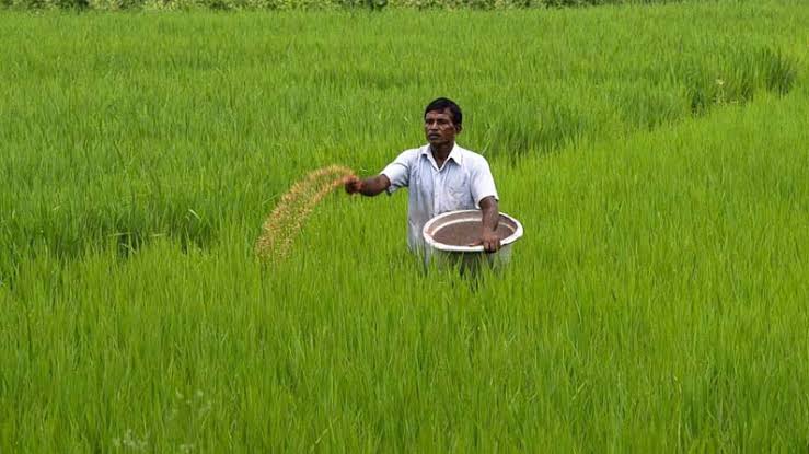 ಜೈವಿಕ ಕೀಟನಾಶಕಗಳ ಮಹತ್ವ