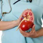 ಮೂತ್ರಪಿಂಡಗಳು ಮತ್ತು ಅದರ ಕಾರ್ಯ ನಿರ್ವಹಣೆ 26 ಮೂತ್ರಪಿಂಡಗಳು ಮತ್ತು ಅದರ ಕಾರ್ಯ ನಿರ್ವಹಣೆ