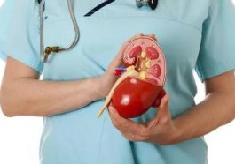 ಮೂತ್ರಪಿಂಡಗಳು ಮತ್ತು ಅದರ ಕಾರ್ಯ ನಿರ್ವಹಣೆ