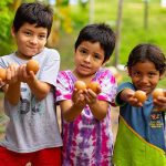 ಅಪೌಷ್ಟಿಕತೆ ಎಂದರೆ ಏನು