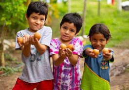 ಅಪೌಷ್ಟಿಕತೆ ಎಂದರೆ ಏನು