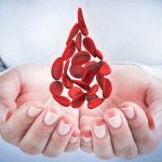 ದೇಹದಲ್ಲಿನ ರಕ್ತ ಕಣಗಳು 27 ರಕ್ತ ಕಣಗಳು