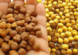 ಹುರಿಗಡಲೆ